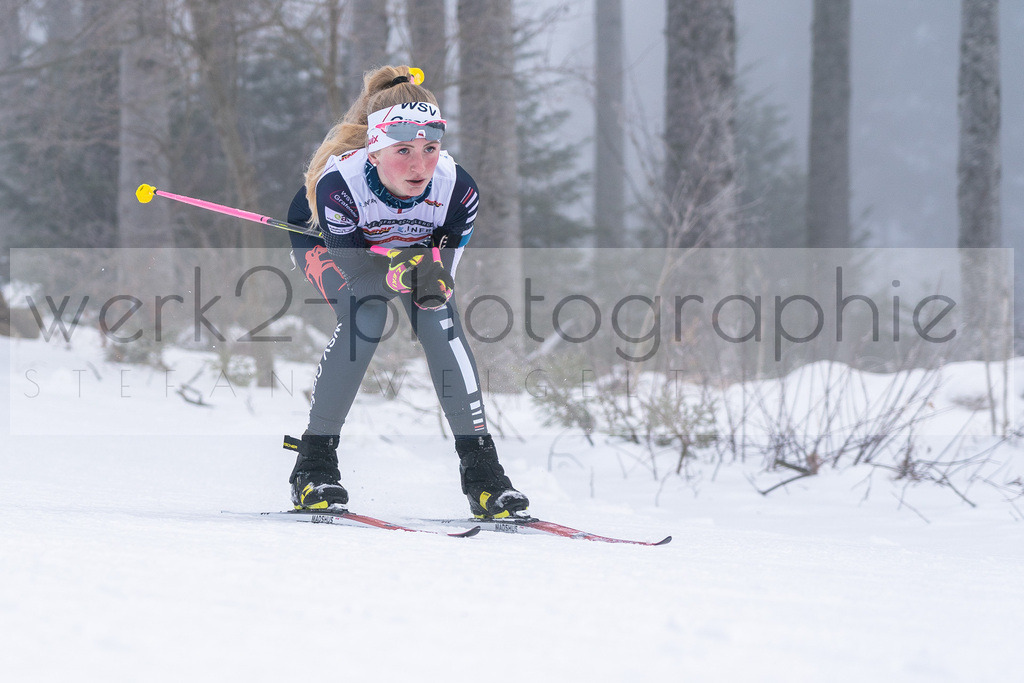 DSC Arber | Bayerischer Wald am 15. und 16. Januar 2022