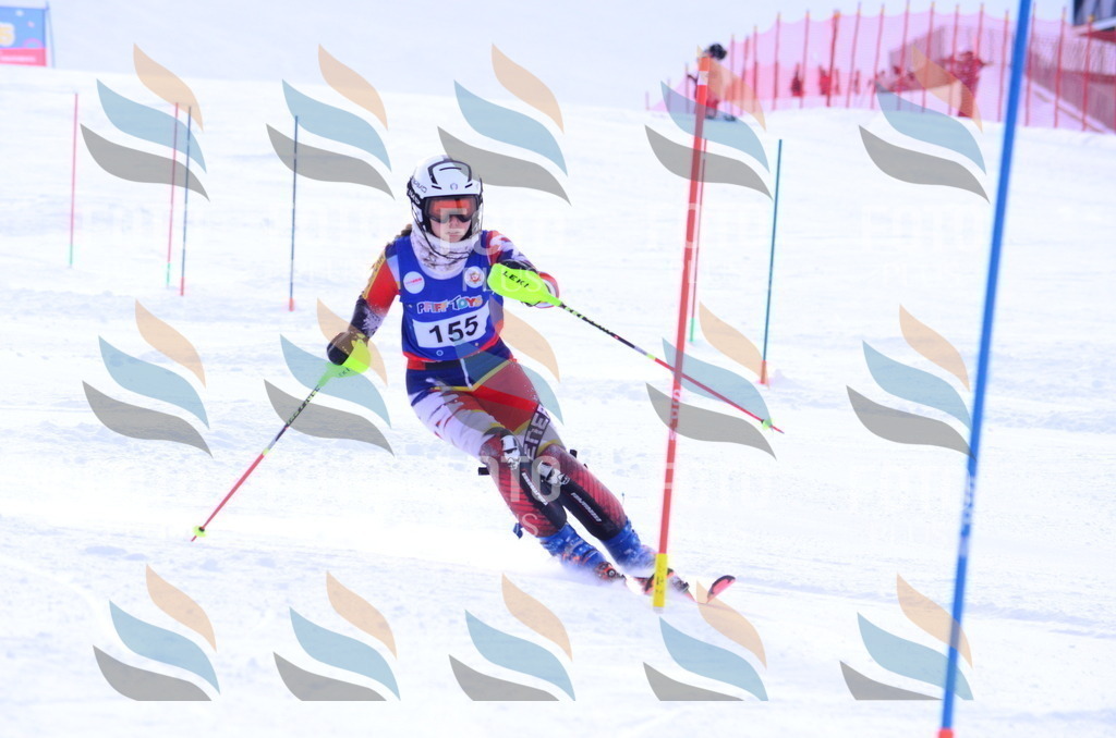 B1917 | holidayphoto