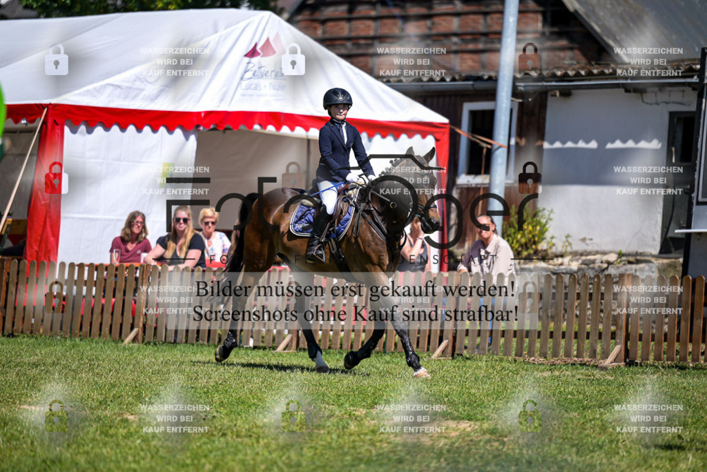 20230610-DOS_2158 | Entdecke hochwertige Reitturnierfotos von Foto Oger. Professionell, emotional und authentisch – jetzt Lieblingsmomente im Shop bestellen.Deutschlandweite Turnierfotografie. - Realisiert mit Pictrs.com
