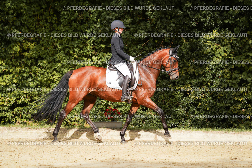 DSC09206 | Pferdegrafie