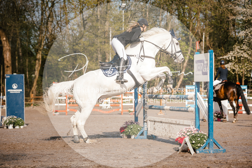 3I6A3527 | Stimmungsvolle Portraits und Reitsportfotografie im Ruhrgebiet und im Münsterland.

Pferdefotografie, Hundefotografie, Tierfotografie, Reportagen, Portraits von Tier und Mensch, Turnierfotografie in Bochum, Recklinghausen, Marl, Haltern am See, Dülmen.. - Realisiert mit Pictrs.com