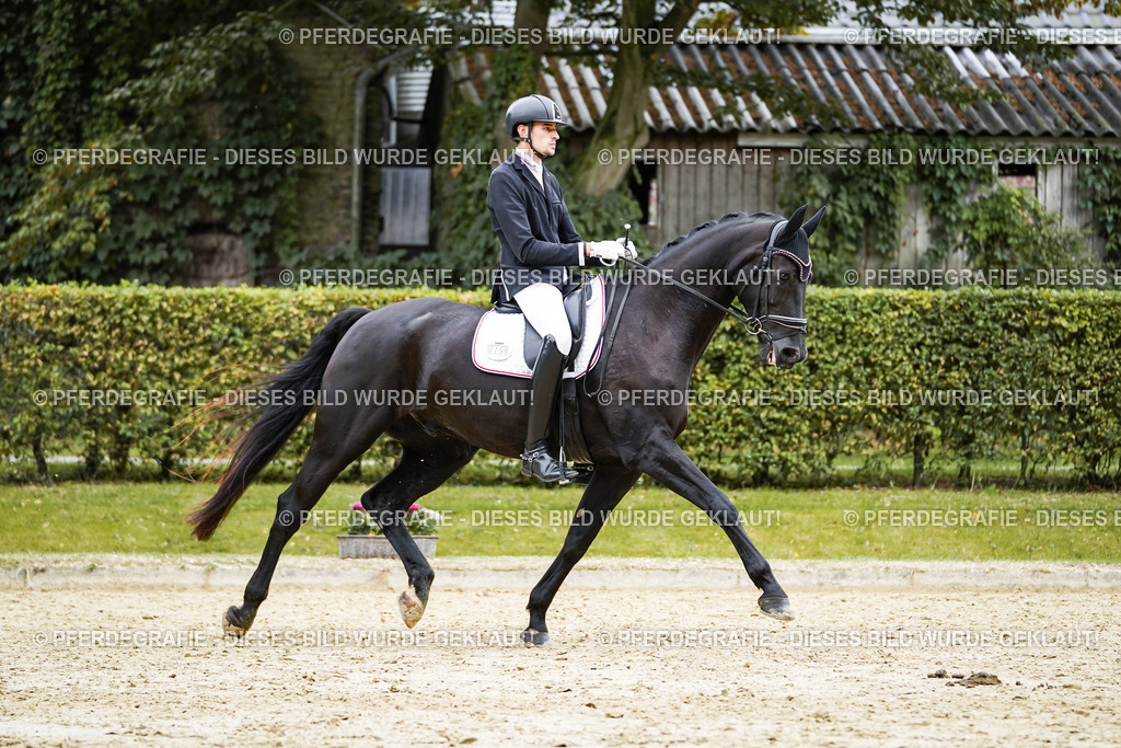 DSC09355 | Pferdegrafie