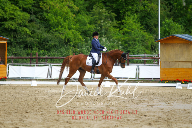 DKP45689 | Turniersportfotografie; Pferdefotografie; Dressurfotografie