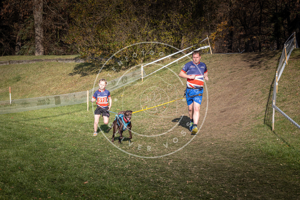 CaniXpix_0L8A8492 | Hundefotografie, Tierfotograf, Pfotenfotografie, Fotoshooting Hund, Hunde Portrait, Hundesport, Hundeportraits, Heideshooting, Hunde, Sportfotograf, Hundefotograf, Turnierhundsport, THS,  - Realisiert mit Pictrs.com