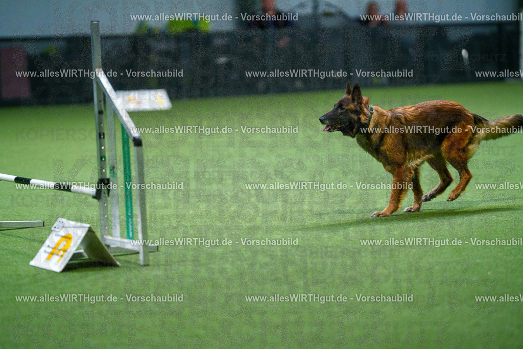 7R500938 | Professionelle Tierfotografie in Mönchengladbach von Daniel Wirth (allesWIRTHgut). Liebevolle & natürliche Bilder von Hunden & Katzen für unvergessliche Erinnerungen.