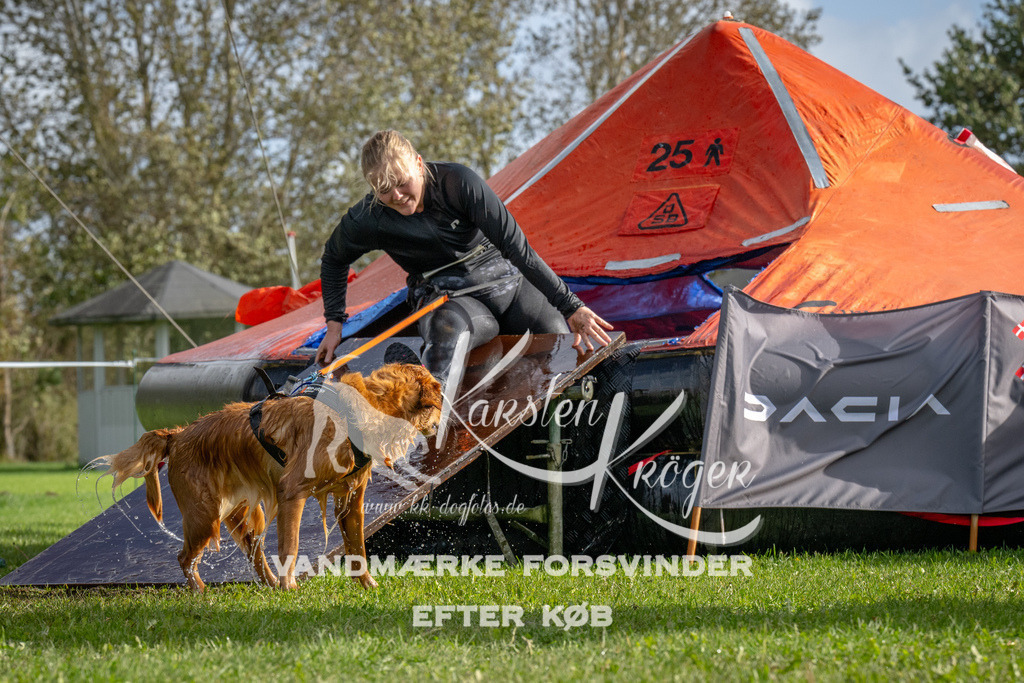 1212-92795 | kk-dogfotos