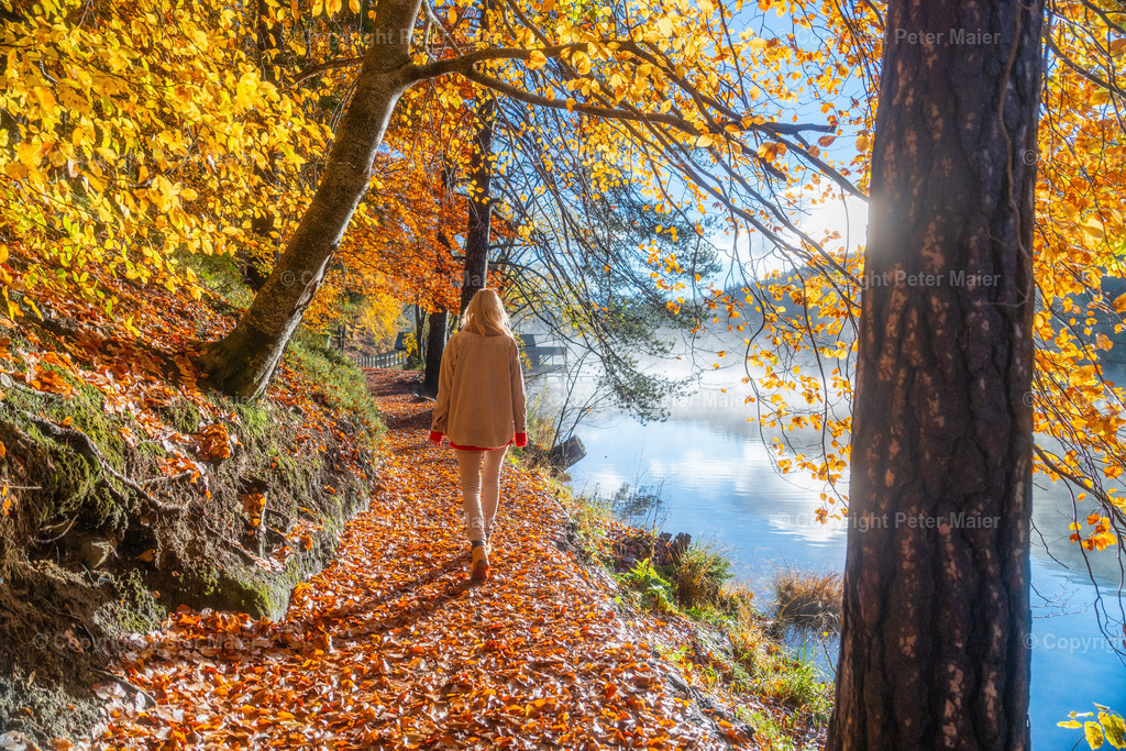 TristacherSee_Herbst_2023-378 | piet_flosse