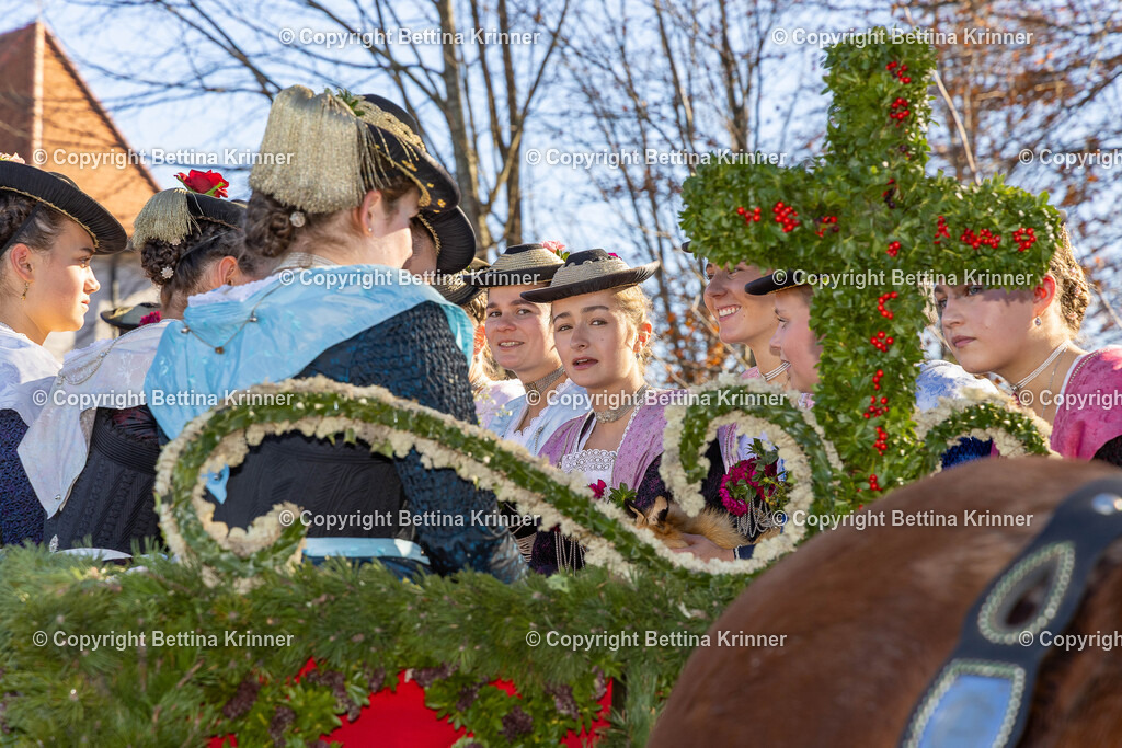 LBT25-1267 | foto-bettina-krinner - Realisiert mit Pictrs.com
