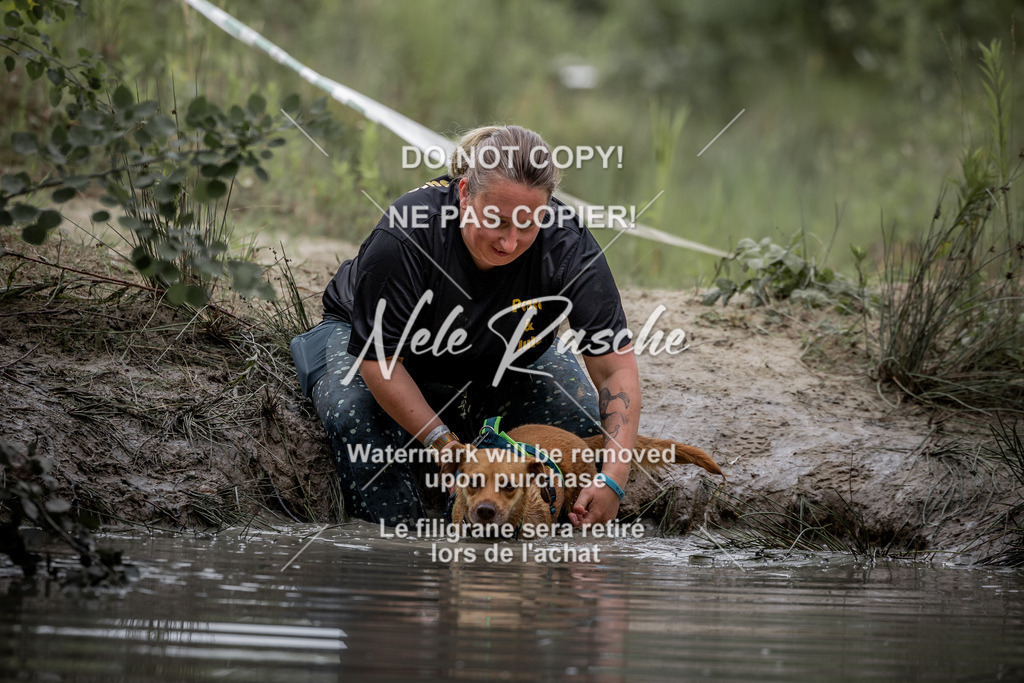 nelerasche_so0800-0930_100 | nelerasche