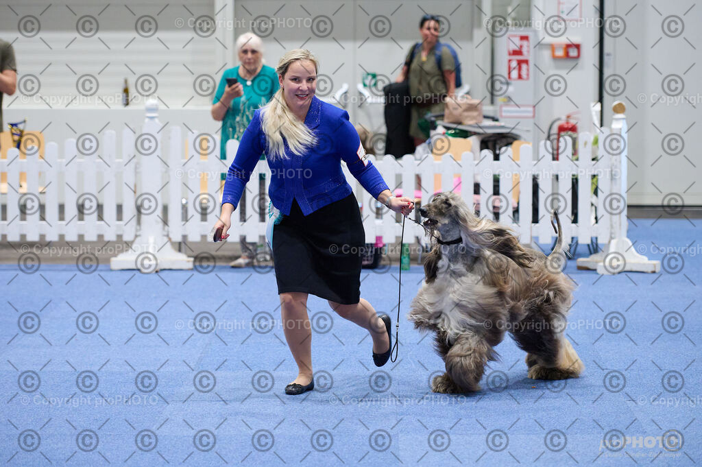 202406_ÖKV-IHA-Tulln24_DSC_3265 | proPHOTO - Realisiert mit Pictrs.com