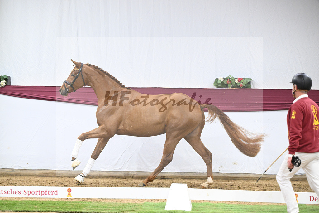 Kat-Nr. 133 Von Und Zu x Locksley III_Sabine Lehner_47254515 | hf-fotografie - Realisiert mit Pictrs.com