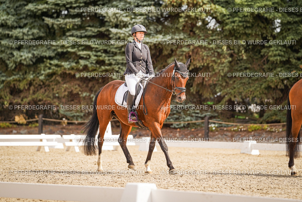 DSC01383 | Pferdegrafie