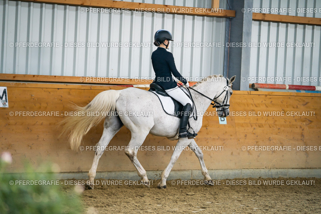 DSC05466 | Pferdegrafie