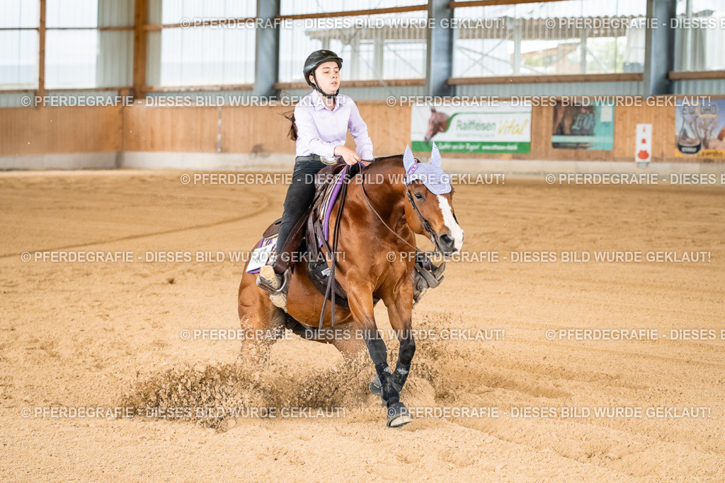 DSC02086 | Pferdegrafie