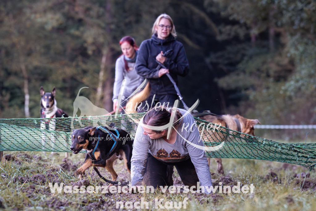 0858_ZZ91320 | kk-dogfotos