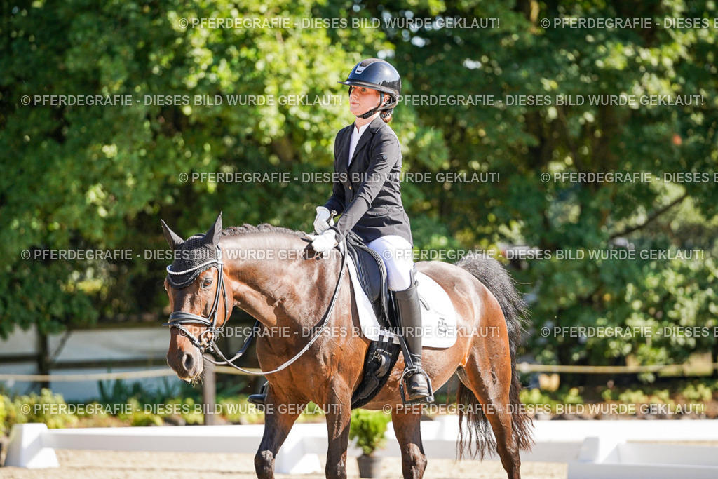 DSC00063 | Pferdegrafie