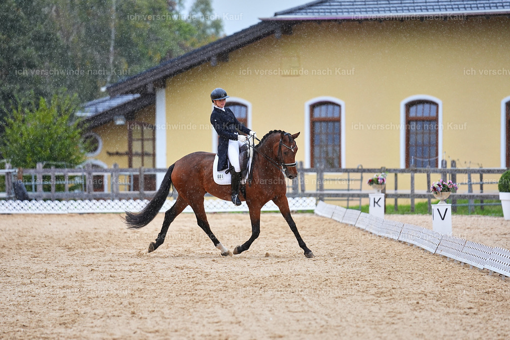 8_1-001-Klasse S_  -Marixx-4322 | working equitationturnier fotograf videograf stoibphotography marixx film working equitation deutschland reitsport turnierfotografie eventfotografie equestrian events