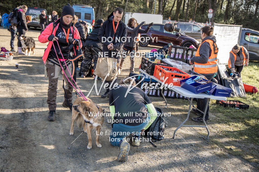 NR__0662-2 | nelerasche