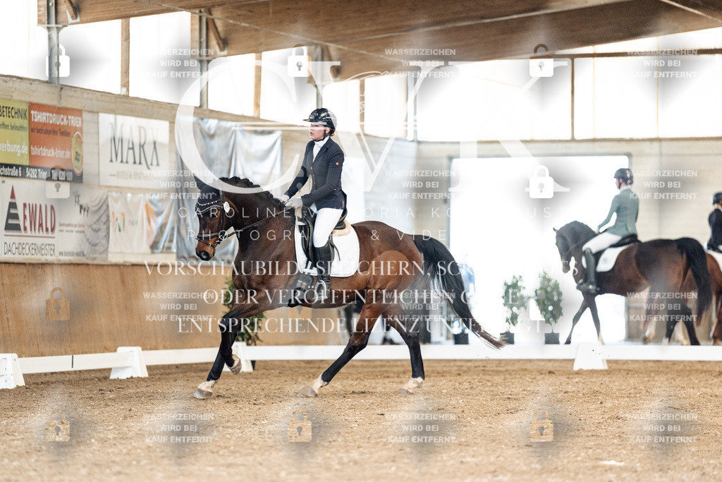 CK900876 | Turnierfotografie Pferdefotografie Trier Rheinland-Pfalz Pferdesport Reitsport Tierfotografie Sportfotografie Pferdevideo Pferdevideografie Equestrianvideography equestrianphotography  - Realisiert mit Pictrs.com