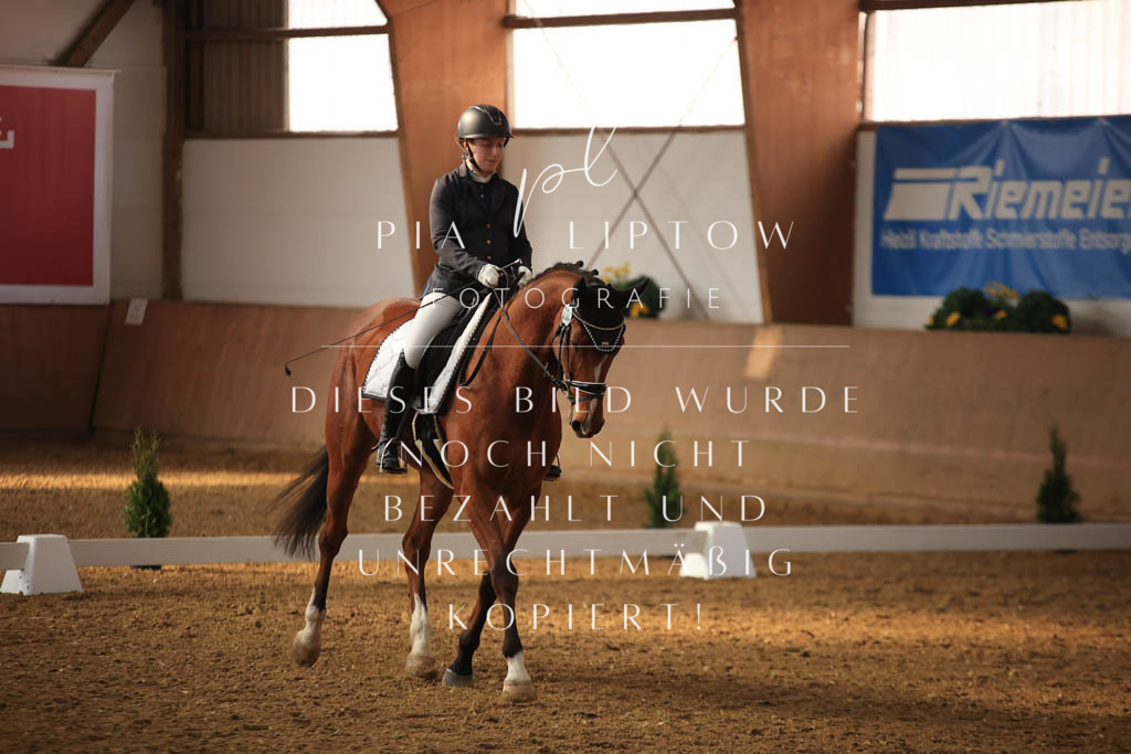 IMGT7619 | pl-fotografie