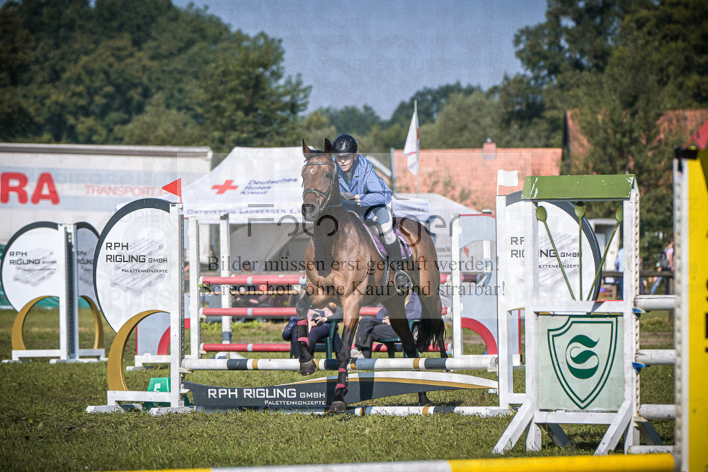DOS_0210 | Entdecke hochwertige Reitturnierfotos von Foto Oger. Professionell, emotional und authentisch – jetzt Lieblingsmomente im Shop bestellen.Deutschlandweite Turnierfotografie. - Realisiert mit Pictrs.com