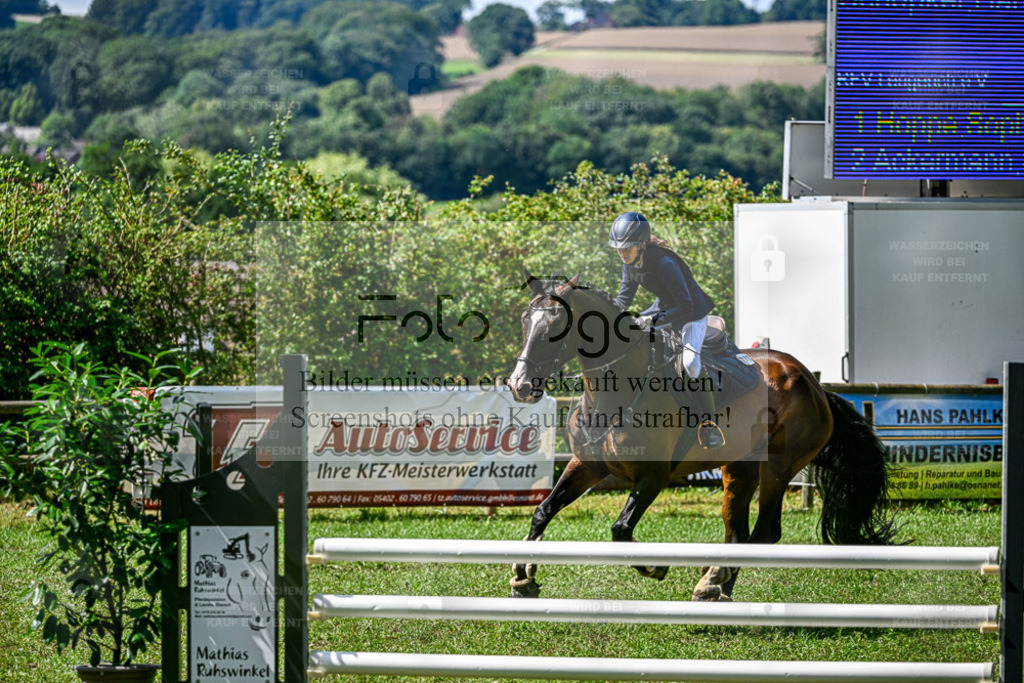 Bissendorfer Reitertage | Entdecke hochwertige Reitturnierfotos von Foto Oger. Professionell, emotional und authentisch – jetzt Lieblingsmomente im Shop bestellen. - Realisiert mit Pictrs.com