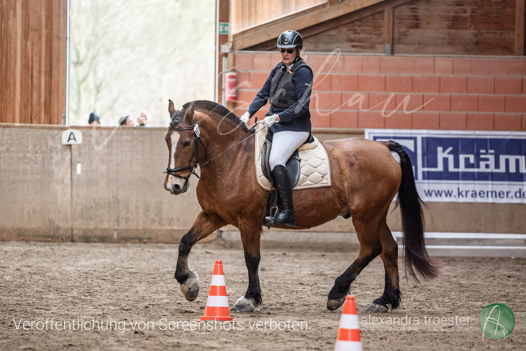 260329_Barop_19_071 | farbklaex.com