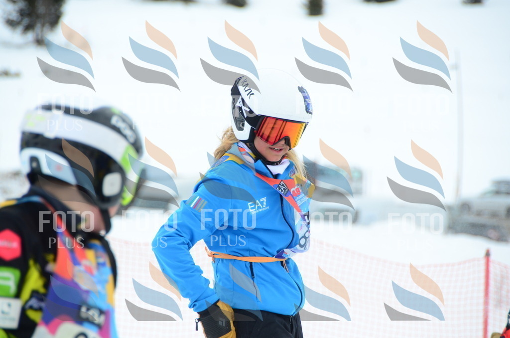 DSC_2449 | holidayphoto