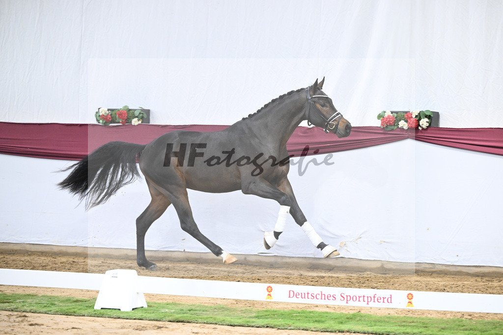 Kat-Nr. 21 St. Emilion x Quantensprung_Marianne Jerich_47250694 | hf-fotografie - Realisiert mit Pictrs.com