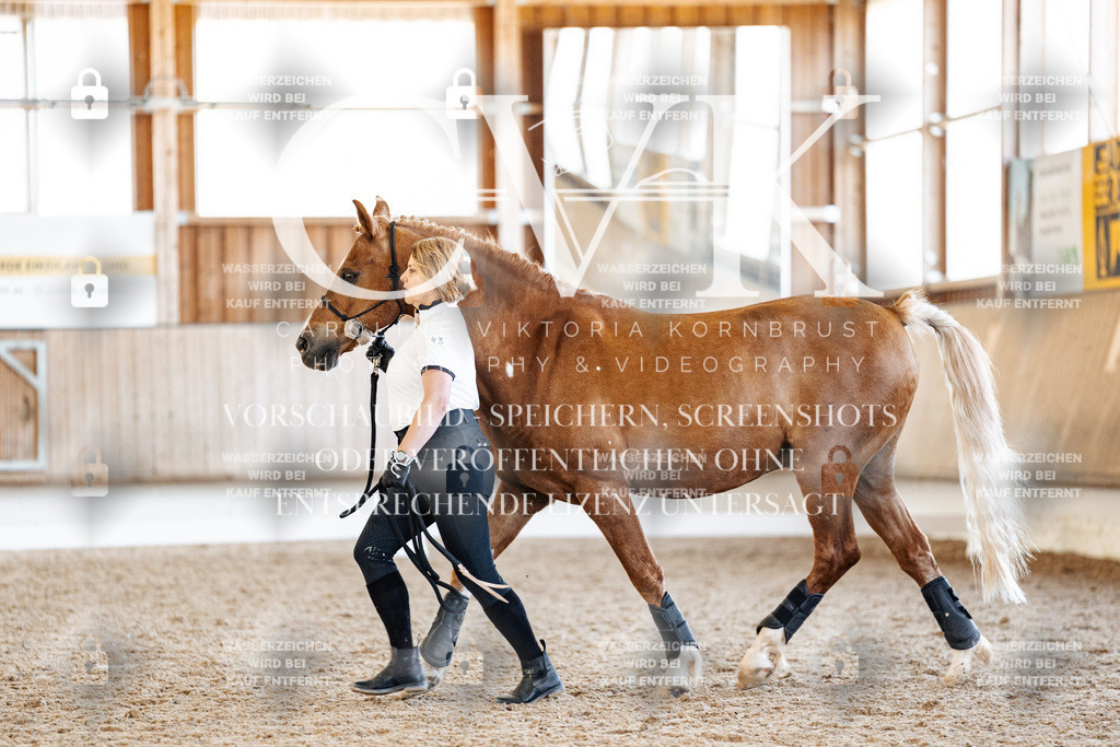 CK906605 | Turnierfotografie Pferdefotografie Trier Rheinland-Pfalz Pferdesport Reitsport Tierfotografie Sportfotografie Pferdevideo Pferdevideografie Equestrianvideography equestrianphotography  - Realisiert mit Pictrs.com