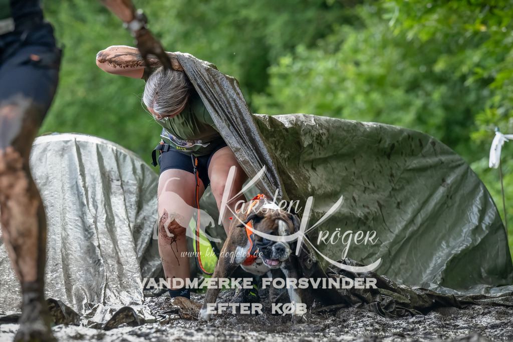 1149_ZZ94360-Bearbeitet | kk-dogfotos