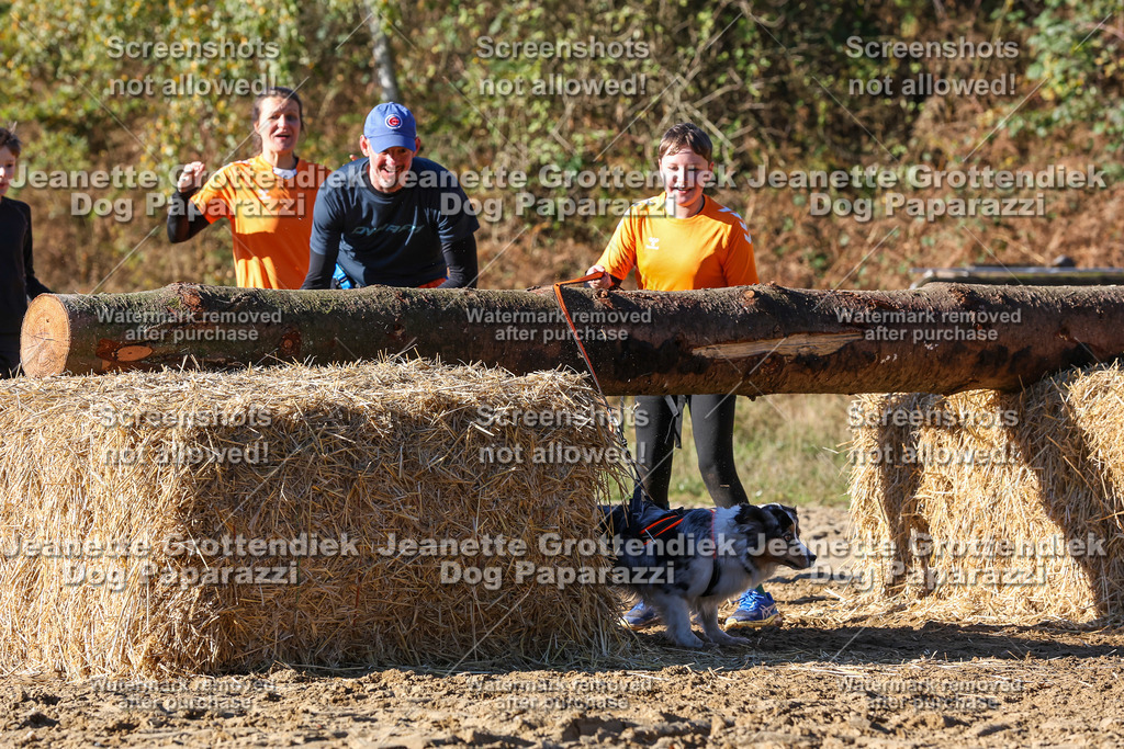 Dog Paparazzi - Strongdog 10-25-2037 | Dog Paparazzi Jeanette Grottendiek Fotografie & Videografie - Realisiert mit Pictrs.com