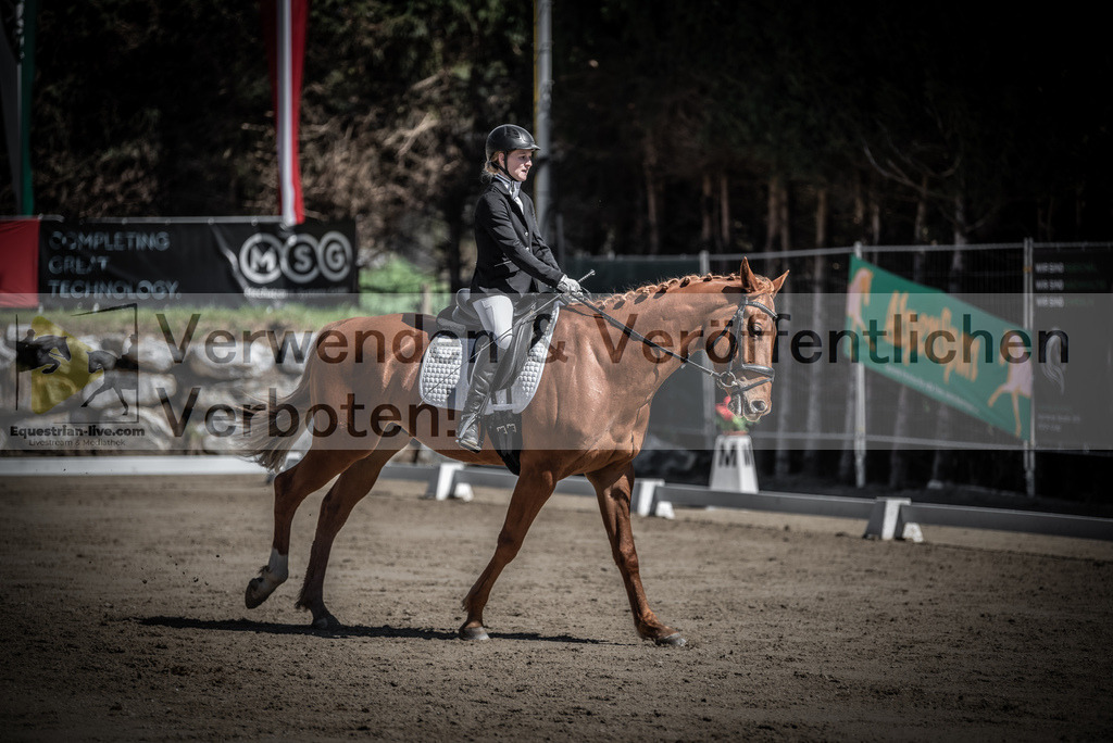 DSC_0036 | equestrian-live-com