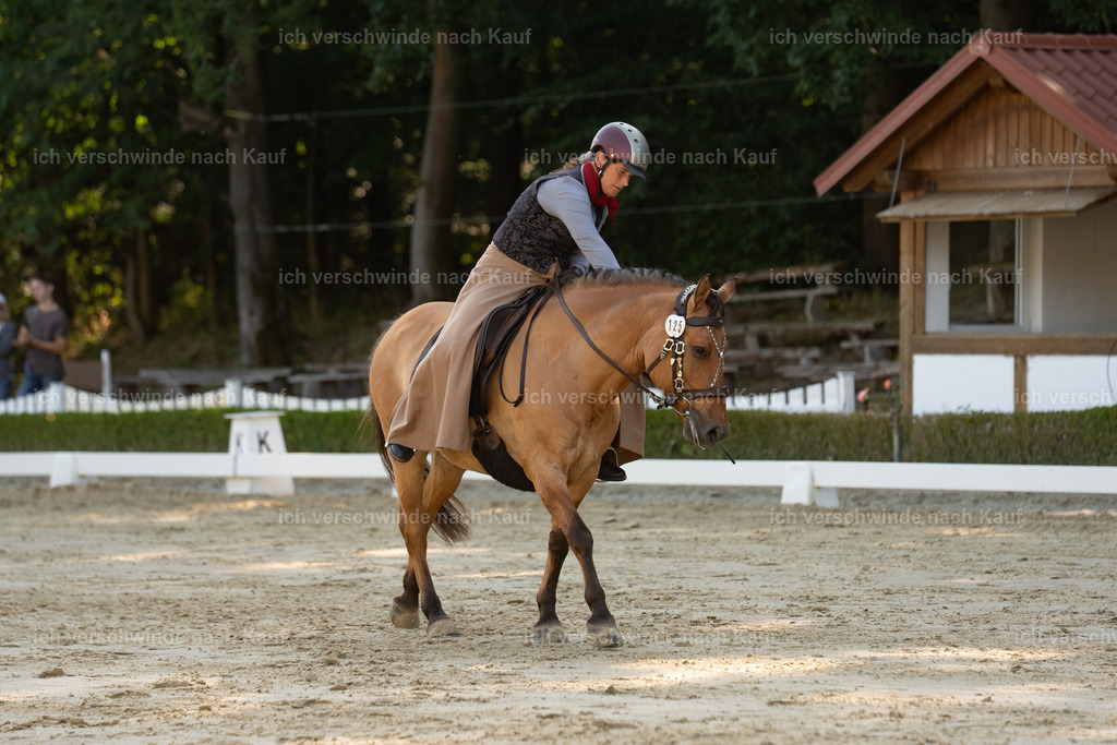 WA_DR_125_SinaFilmArt_IN00849 | working equitationturnier fotograf videograf stoibphotography marixx film working equitation deutschland reitsport turnierfotografie eventfotografie equestrian events