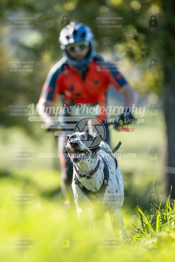 MompixPhotography_20TSB_E3_DS1-64 | PayLife