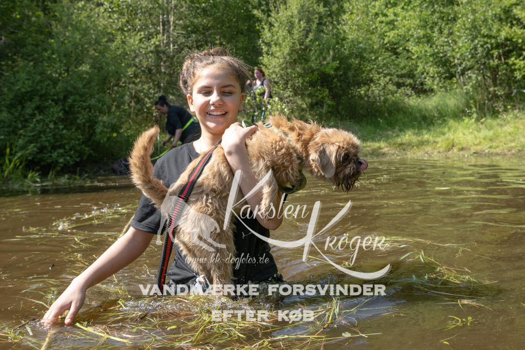 1540DKK991776 | kk-dogfotos