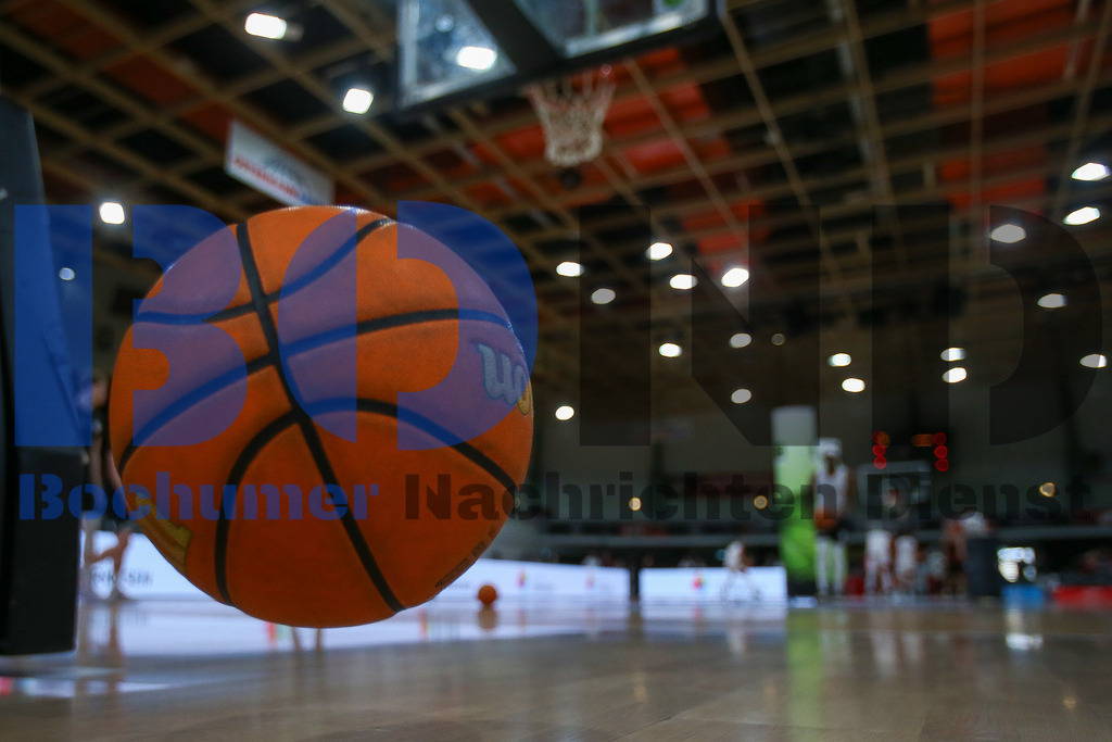 SES_LEVWOL20250525-1 | bond - Realisiert mit Pictrs.com