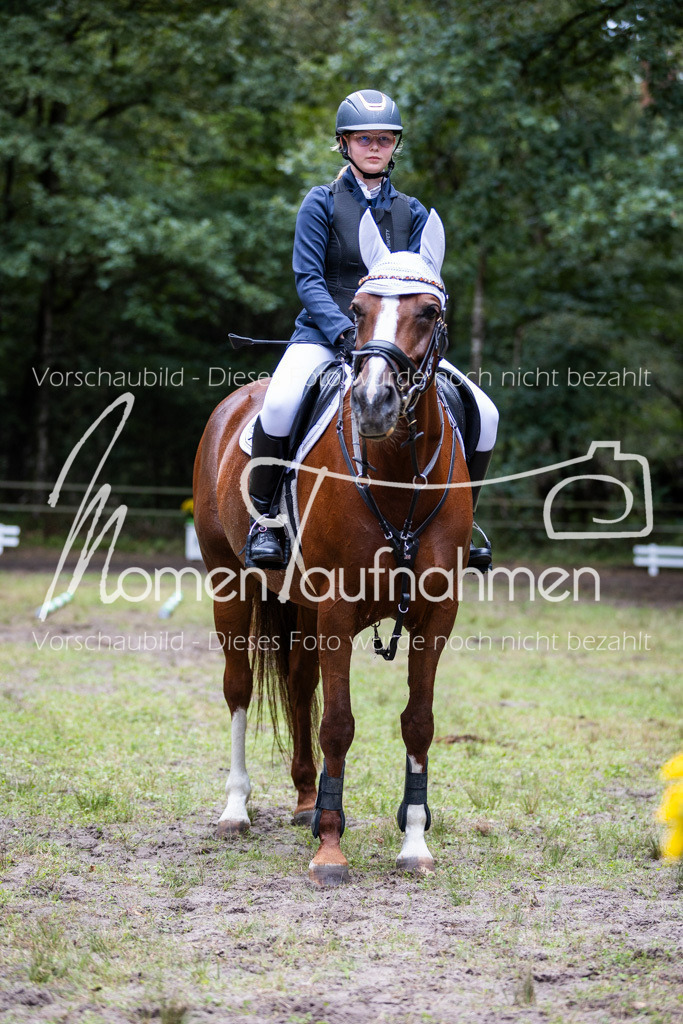 HB-Caprilli-022 | MomenTaufnahmen Pferdesportfotos