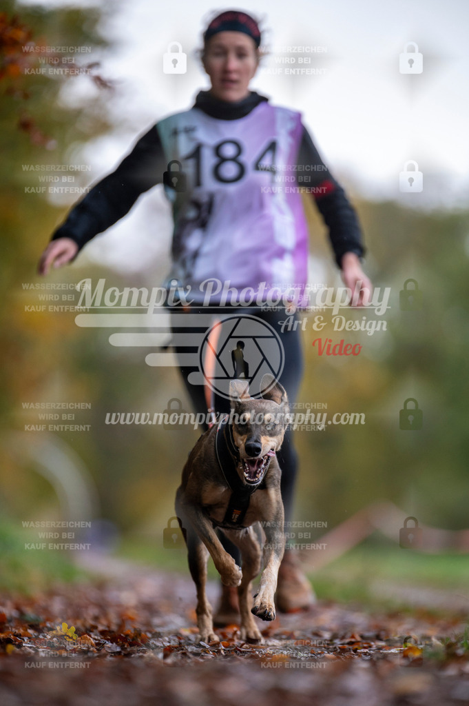 DBT_DAKM_SA_4_11_2023_Canicross-27 | PayLife
