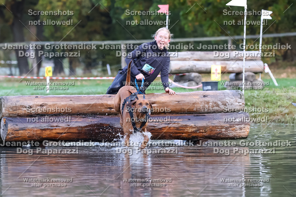 Dog Paparazzi - Strongdog 10-25-6349 | Dog Paparazzi Jeanette Grottendiek Fotografie & Videografie - Realisiert mit Pictrs.com