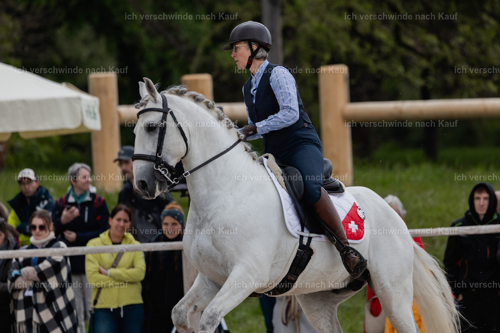 PI26_SP_StoibphotographyC2_C2355.jpg | working equitationturnier fotograf videograf stoibphotography marixx film working equitation deutschland reitsport turnierfotografie eventfotografie equestrian events