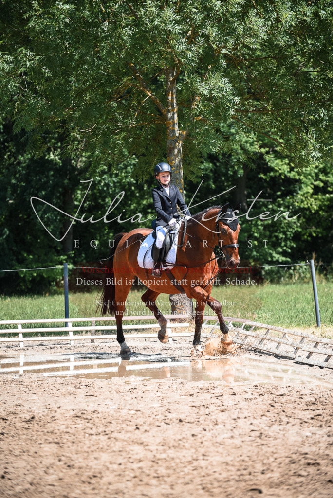 DSC_3000 | Pferde- und Turnierfotografie in Westsachsen. Pferdeportraits, Auftragszeichnungen und intuitive Kunst.