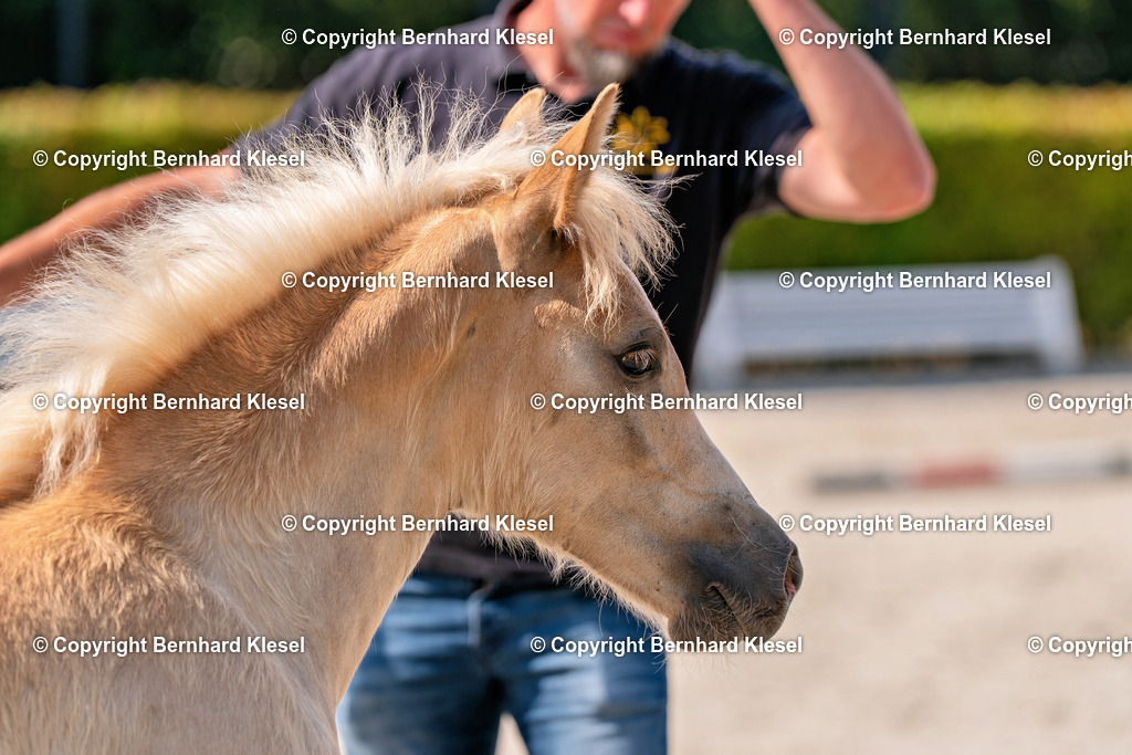 2A909420 | foto-team-bernhard - Realisiert mit Pictrs.com