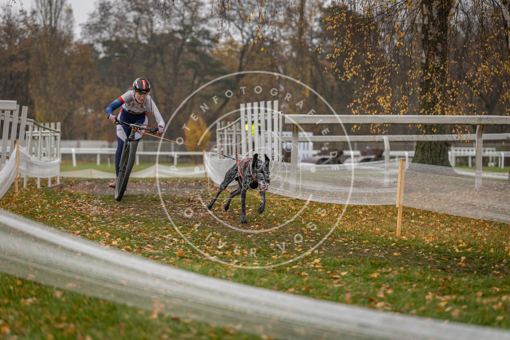 CaniXpix_DV3A7583 | Hundefotografie, Tierfotograf, Pfotenfotografie, Fotoshooting Hund, Hunde Portrait, Hundesport, Hundeportraits, Heideshooting, Hunde, Sportfotograf, Hundefotograf, Turnierhundsport, THS,  - Realisiert mit Pictrs.com