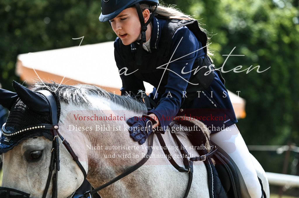 DSC_8827 | Pferde- und Turnierfotografie in Westsachsen. Pferdeportraits, Auftragszeichnungen und intuitive Kunst.