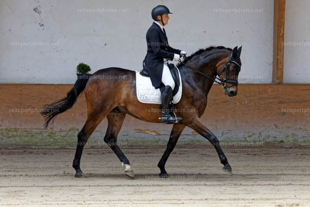 JHE32177 | JoYa Fotografie - Realisiert mit Pictrs.com