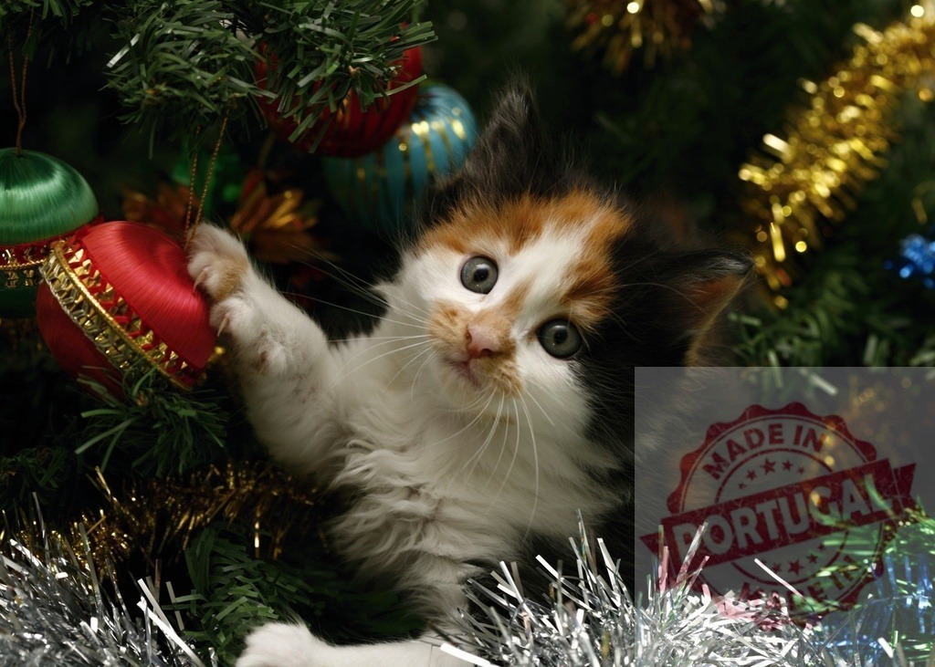 Playful calico kitten playing with Christmas tree ornament | Adorable calico kitten batting at a red and gold ornament on a decorated Christmas tree, bringing festive cheer - Realized with Pictrs.com
