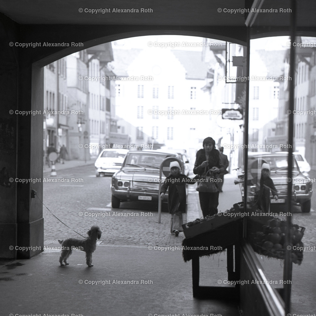 Aarau_0619 | onlineshop - Realisiert mit Pictrs.com