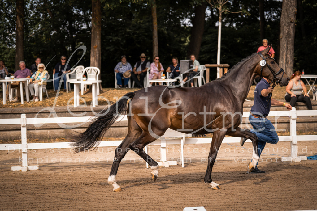 FrER00041 | Leoni Ertmer Photography - Realisiert mit Pictrs.com