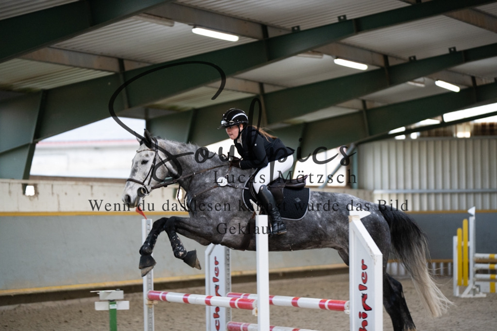 A7V02632 | Pferdefotograf